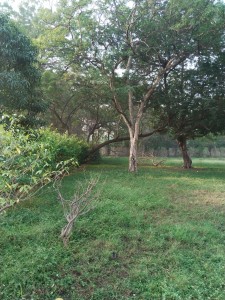 filter: 0; fileterIntensity: 0.0; filterMask: 0; brp_mask:0;
brp_del_th:null;
brp_del_sen:null;
delta:null;
module: photo;hw-remosaic: false;touch: (0.45833334, 0.43125);sceneMode: 8;cct_value: 0;AI_Scene: (-1, -1);aec_lux: 0.0;aec_lux_index: 0;albedo: ;confidence: ;motionLevel: -1;weatherinfo: null;temperature: 37;